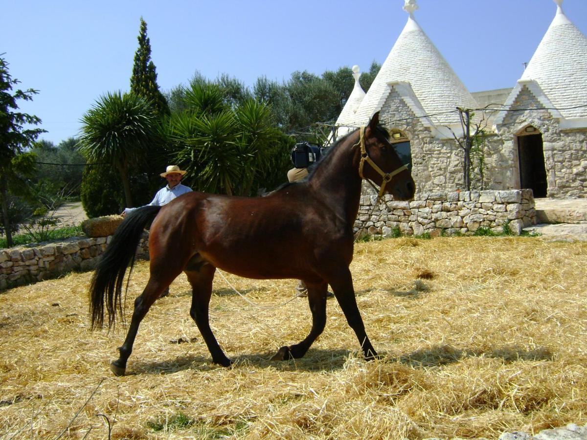 Masseria Sciaiani Piccola Villa Castelli Exterior foto