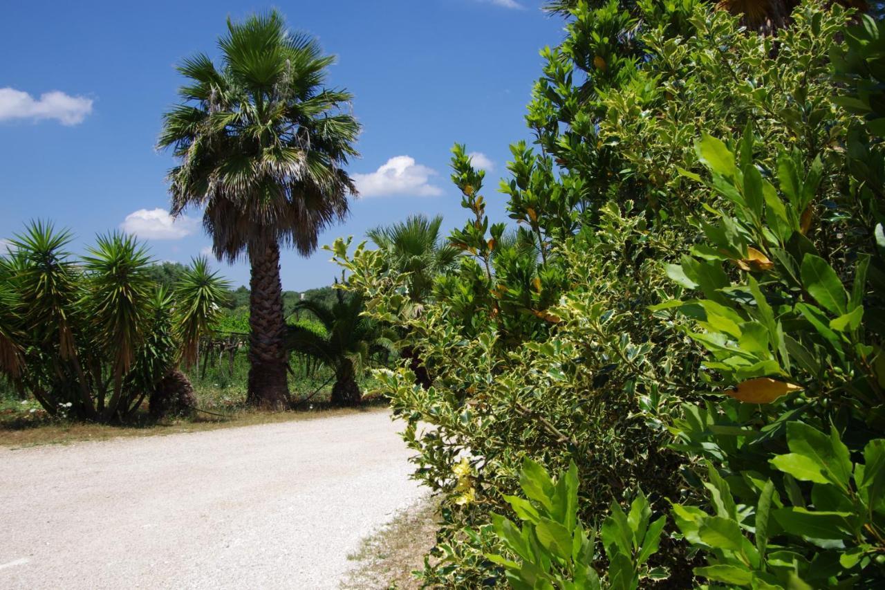 Masseria Sciaiani Piccola Villa Castelli Exterior foto